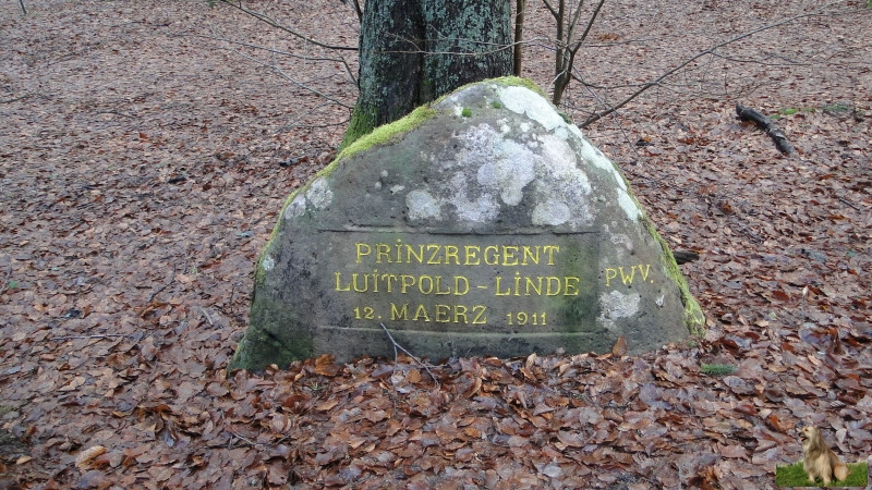 Ritterstein Nr. 136-2 Prinzregent Luitpold Linde 12. März 1911.JPG - Ritterstein Nr.136  Prinzregent Luitpold Linde 12. März 1911                               